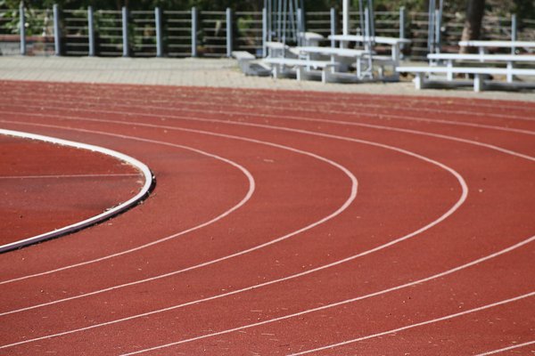 Le basket amateur dans les écoles : un sport d'éducation physique